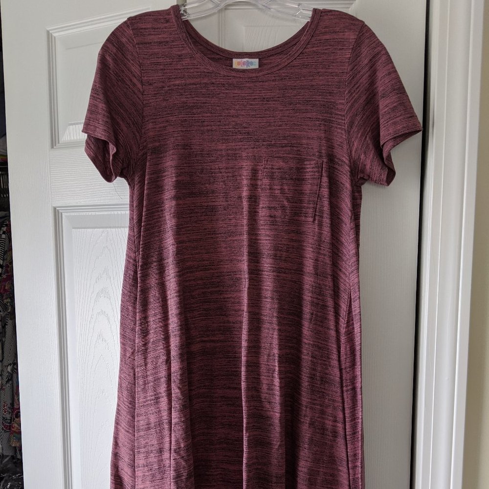 LulaRoe Carly Dress